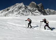 Trophee du Saint Bernard