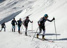 Trophee du Saint Bernard