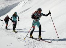 Trophee du Saint Bernard