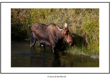 GRAND TETON NATIONAL PARK (USA)