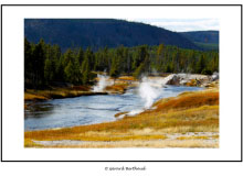 YELLOWSTONE (USA)