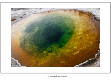 YELLOWSTONE (USA)