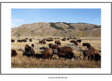 GRAND TETON NATIONAL PARK (USA)