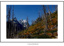 GRAND TETON NATIONAL PARK (USA)