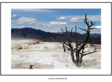 YELLOWSTONE (USA)