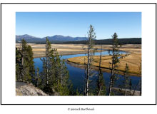 YELLOWSTONE (USA)