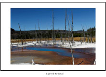 YELLOWSTONE (USA)