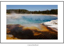 YELLOWSTONE (USA)