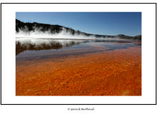 YELLOWSTONE (USA)